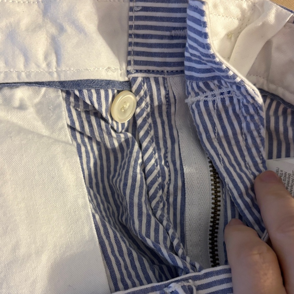 Polo Ralph Lauren Blue and White Striped Men's Shorts - Picture 12 of 16